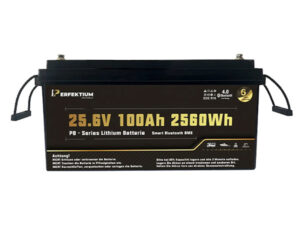 LiFePO Batterie Perfektium PB-24-100-PRO