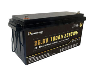 LiFePO Batterie Perfektium PB-24-100-PRO