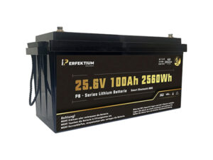 LiFePO Batterie Perfektium PB-24-100-PRO