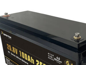 LiFePO Batterie Perfektium PB-24-100-PRO