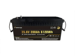 LiFePO Batterie Perfektium PB-24-200