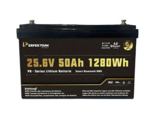 LiFePO Batterie Perfektium PB-24-50
