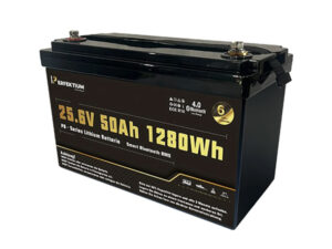 LiFePO Batterie Perfektium PB-24-50