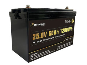 LiFePO Batterie Perfektium PB-24-50