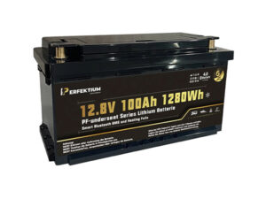 Perfektium Batterie PF-Underseat-12-100H