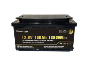 Perfektium Batterie PF-Underseat-12-100H