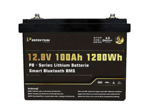 Lithium-Eisenphosphat-Batterie Perfektium PB-12-100-PRO