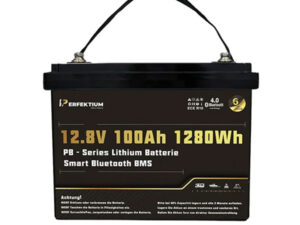 Lithium-Eisenphosphat-Batterie Perfektium PB-12-100-PRO