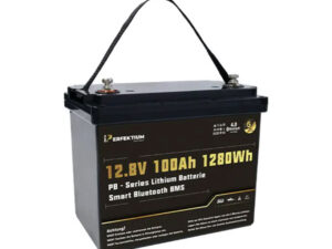 Lithium-Eisenphosphat-Batterie Perfektium PB-12-100-PRO
