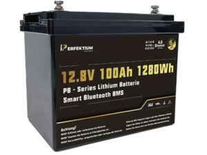 Lithium-Eisenphosphat-Batterie Perfektium PB-12-100-PRO
