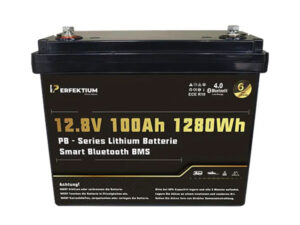 Lithium-Eisenphosphat-Batterie Perfektium PB-12-100-PRO