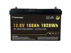 Lithium-Eisenphosphat-Batterie Perfektium PB-12-150-PRO