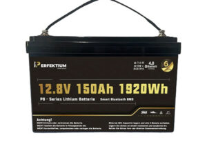 Lithium-Eisenphosphat-Batterie Perfektium PB-12-150-PRO