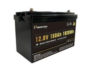 Lithium-Eisenphosphat-Batterie Perfektium PB-12-150-PRO