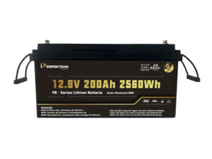 Die Lithium-Eisenphosphat-Batterie Perfektium PB-12-200-PRO bietet ein exzellentes Preis-Leitungs-Verhältnis. Mit einer Nennspannung von 12 Volt ist sie für jedes normale Wohnmobil oder jeden Wohnwagen geeignet.