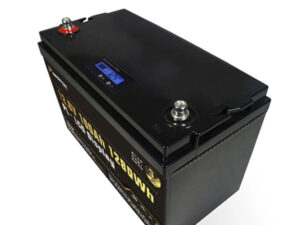 Lithium-Eisenphosphat-Batterie Perfektium PL-12-100