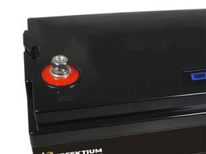 Lithium-Eisenphosphat-Batterie Perfektium PL-12-100