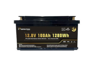 Lithium-Eisenphosphat-Batterie Perfektium PF-Underseat-12-100