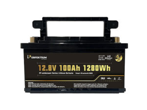Lithium-Eisenphosphat-Batterie Perfektium PF-Underseat-12-100