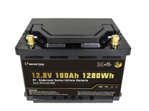 Perfektium Underseat 12 Volt 100 Ah LN3-Gehäuse