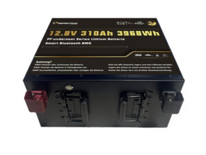 Lithium-Eisenphosphat-Batterie Perfektium PF-Underseat-12-310